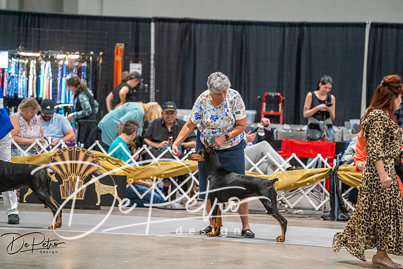 20260926-DSC04560