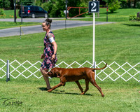 20250629-DSC09441