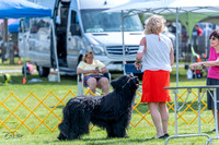 20230512-DSC05309