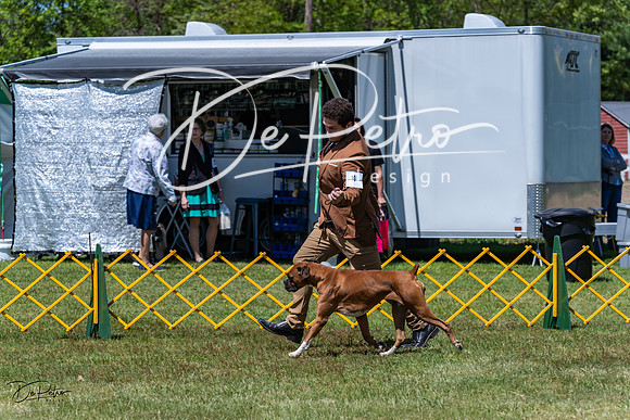 20230514-DSC04140