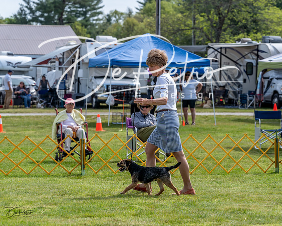 20230513-DSC00026