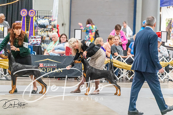 20261001-DSC07206