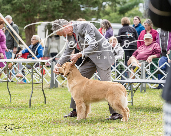 20230427-DSC06000