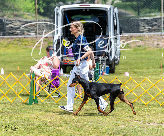 20230513-DSC08299