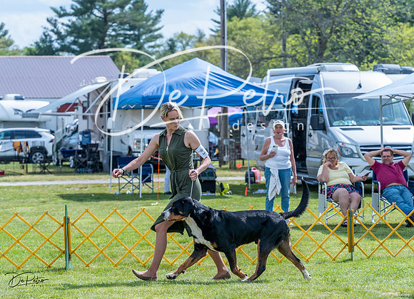 20230512-DSC05018