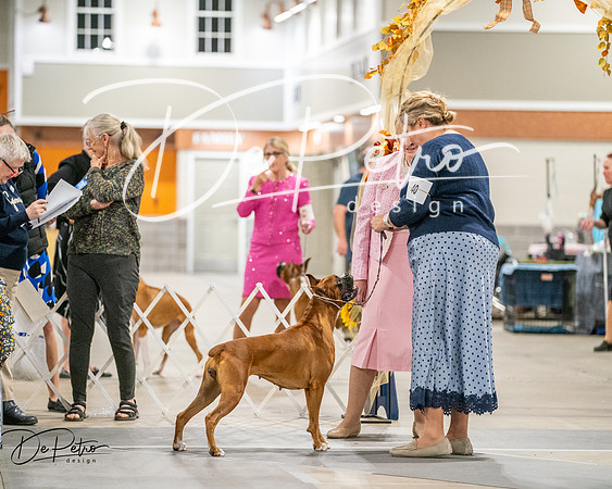 20261022-DSC03212