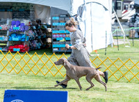 20230512-DSC05670