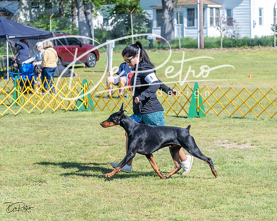 20230514-DSC03102