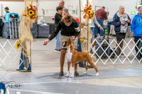 20261022-DSC00037