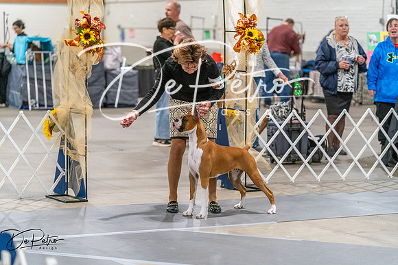 20261022-DSC00037