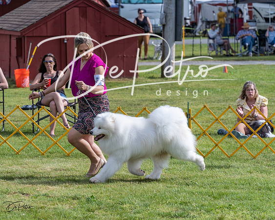 20230513-DSC00859