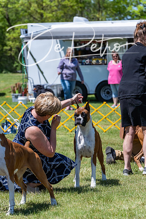 20230514-DSC04608