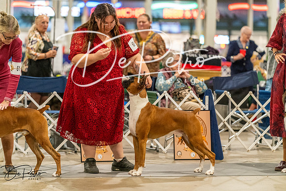 20261023-DSC05482