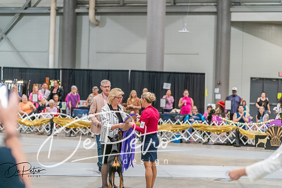 20260927-DSC05262