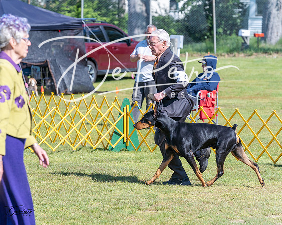 20230514-DSC03448