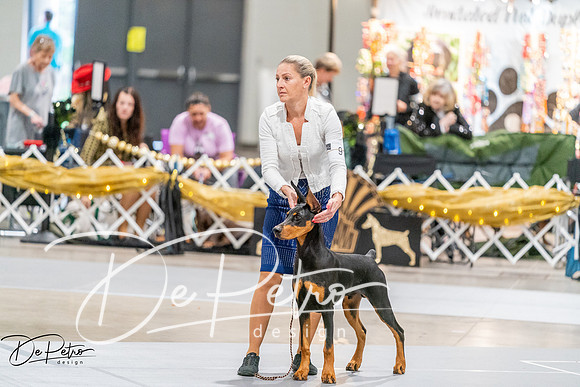 20260930-DSC07040