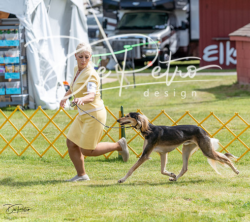 20230513-DSC09840