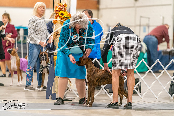 20261022-DSC00188