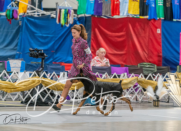 20260926-DSC04940