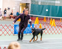 20261017-DSC08448