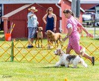 20230513-DSC09384