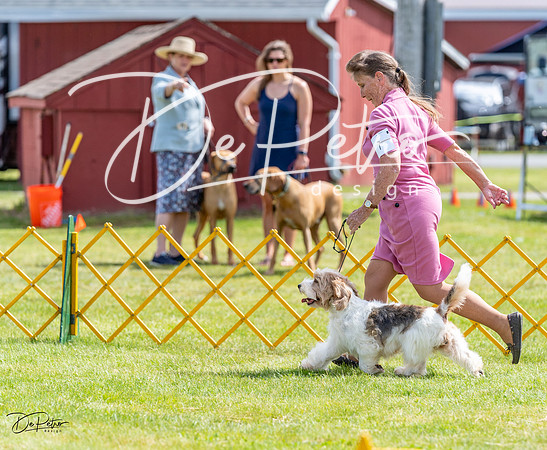 20230513-DSC09384