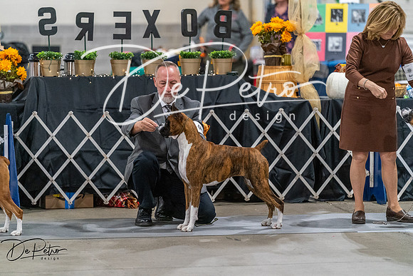 20261023-DSC05519