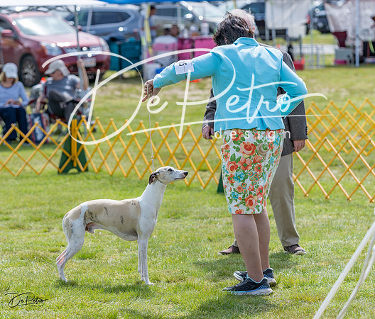 20230513-DSC09587