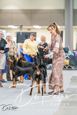 20261001-DSC07283