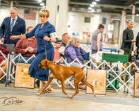 20261022-DSC01524