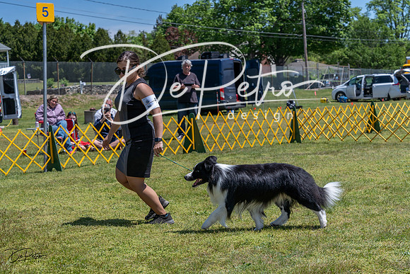 20230514-DSC04930