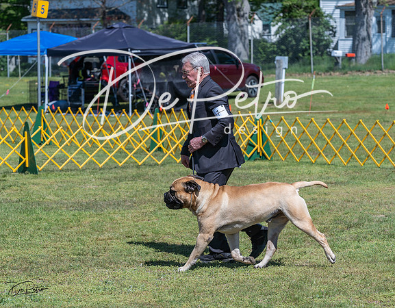 20230514-DSC03655