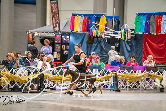 20260926-DSC04699
