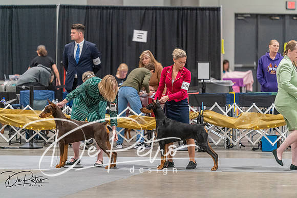20260927-DSC05100
