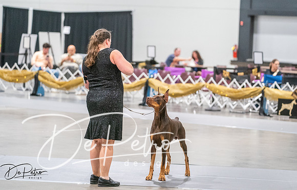 20260926-DSC04127