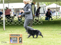 20230427-DSC05378