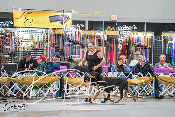 20260926-DSC04527