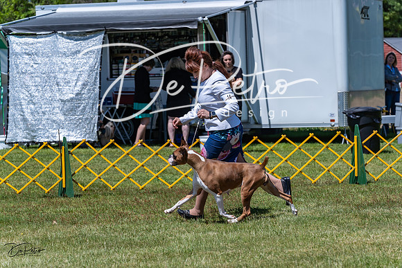 20230514-DSC04174