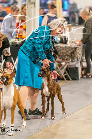 20261022-DSC00367