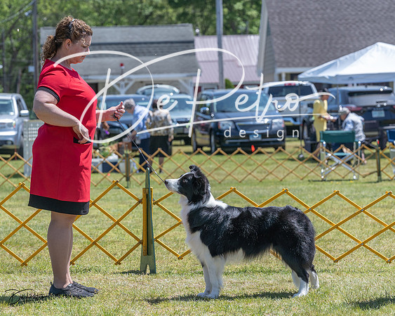 20230514-DSC04803
