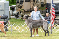20230427-DSC06479
