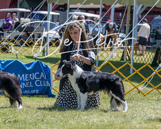 20230514-DSC04782