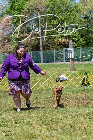 20230514-DSC04240