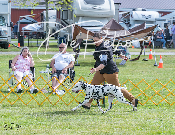 20230513-DSC00290