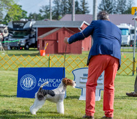 20230512-DSC07003