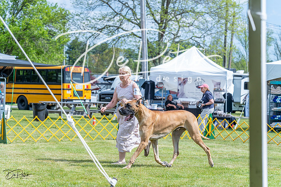20230512-DSC04880