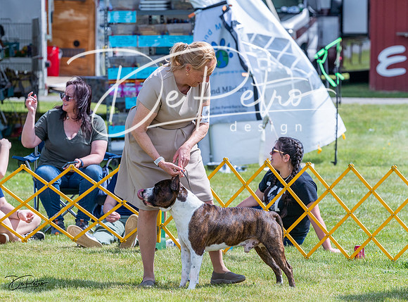 20230512-DSC04070