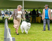 20230427-DSC03045