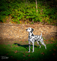 20261017-DSC08868