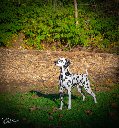20261017-DSC08868